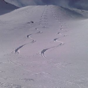 Meet your Posher, Joseph